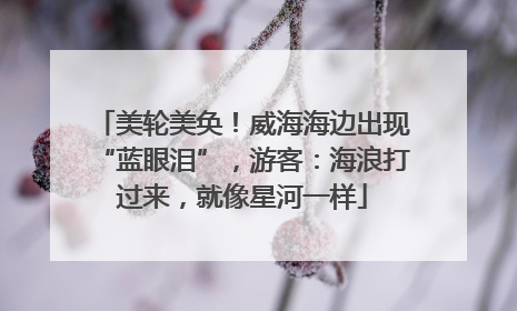 美轮美奂！威海海边出现“蓝眼泪”，游客：海浪打过来，就像星河一样