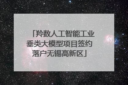 羚数人工智能工业垂类大模型项目签约落户无锡高新区