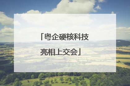 粤企硬核科技亮相上交会
