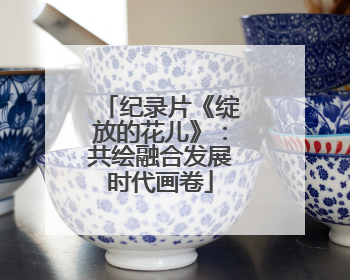 纪录片《绽放的花儿》：共绘融合发展时代画卷
