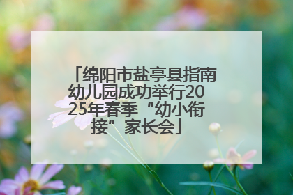 绵阳市盐亭县指南幼儿园成功举行2025年春季“幼小衔接”家长会