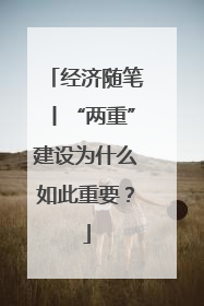 经济随笔丨“两重”建设为什么如此重要？