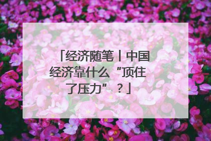 经济随笔丨中国经济靠什么“顶住了压力”？