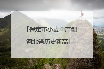 保定市小麦单产创河北省历史新高