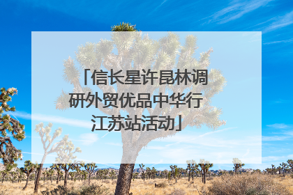 信长星许昆林调研外贸优品中华行江苏站活动