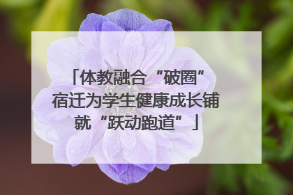 体教融合“破圈” 宿迁为学生健康成长铺就“跃动跑道”