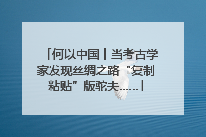 何以中国丨当考古学家发现丝绸之路“复制粘贴”版驼夫……