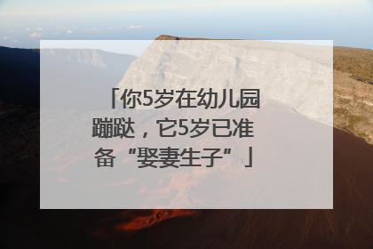 你5岁在幼儿园蹦跶，它5岁已准备“娶妻生子”