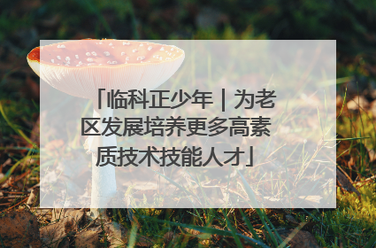 临科正少年｜为老区发展培养更多高素质技术技能人才