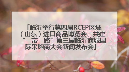 临沂举行第四届RCEP区域（山东）进口商品博览会、共建“一带一路”第三届临沂商城国际采购商大会新闻发布会