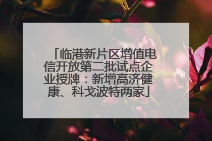 临港新片区增值电信开放第二批试点企业授牌：新增高济健康、科戈波特两家