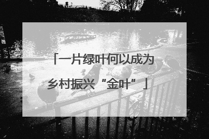 一片绿叶何以成为乡村振兴“金叶”