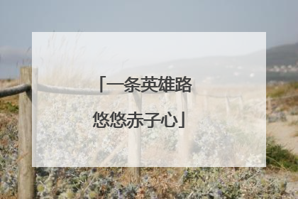 一条英雄路 悠悠赤子心