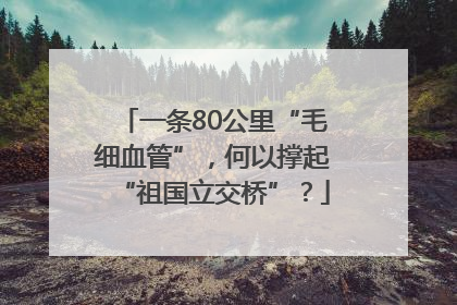 一条80公里“毛细血管”，何以撑起“祖国立交桥”？