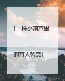 一株小葫芦里的育人智慧
