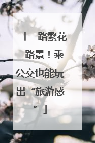 一路繁花一路景！乘公交也能玩出“旅游感”
