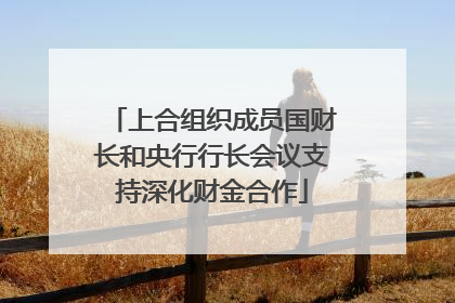 上合组织成员国财长和央行行长会议支持深化财金合作