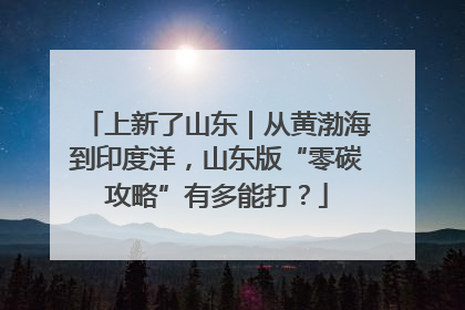 上新了山东｜从黄渤海到印度洋，山东版“零碳攻略”有多能打？