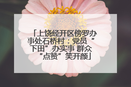 上饶经开区傍罗办事处石桥村：党员“下田”办实事 群众“点赞”笑开颜