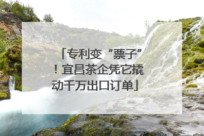 专利变“票子”！宜昌茶企凭它撬动千万出口订单