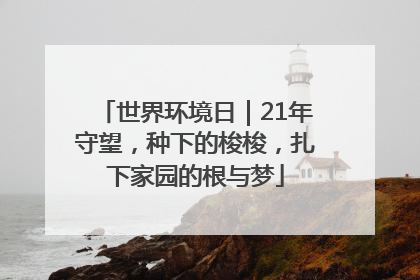世界环境日｜21年守望，种下的梭梭，扎下家园的根与梦