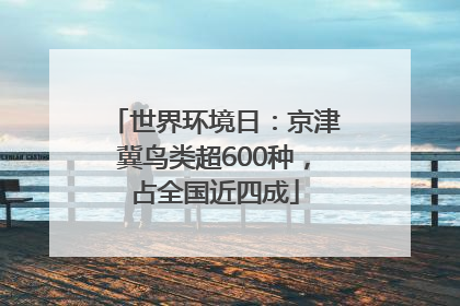 世界环境日：京津冀鸟类超600种，占全国近四成