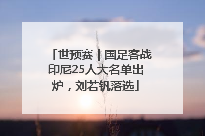 世预赛｜国足客战印尼25人大名单出炉，刘若钒落选