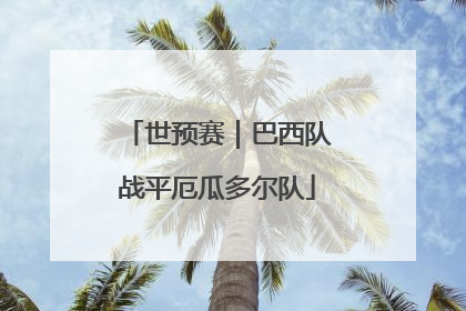 世预赛｜巴西队战平厄瓜多尔队
