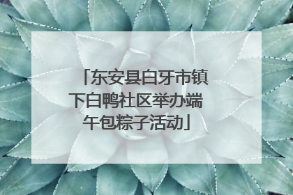 东安县白牙市镇下白鸭社区举办端午包粽子活动