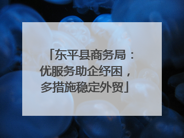 东平县商务局：优服务助企纾困，多措施稳定外贸