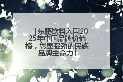 东鹏饮料入围2025年中国品牌价值榜，彰显强劲的民族品牌生命力