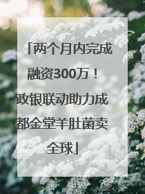 两个月内完成融资300万！政银联动助力成都金堂羊肚菌卖全球
