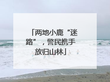 两地小鹿“迷路”，警民携手放归山林
