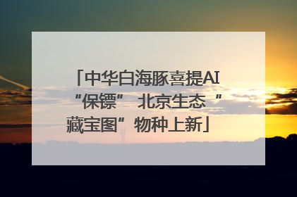 中华白海豚喜提AI“保镖” 北京生态“藏宝图”物种上新