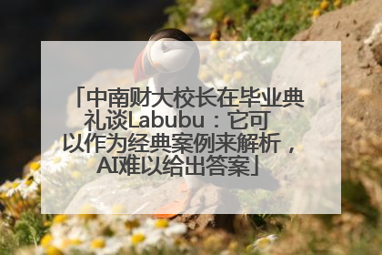 中南财大校长在毕业典礼谈Labubu：它可以作为经典案例来解析，AI难以给出答案