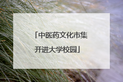中医药文化市集开进大学校园