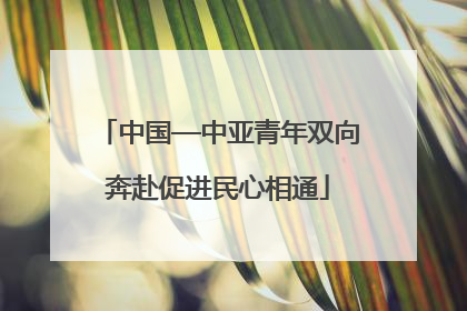 中国—中亚青年双向奔赴促进民心相通