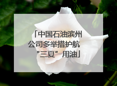 中国石油滨州公司多举措护航“三夏”用油