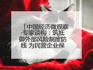 中国经济微观察·专家谈构：筑抵御外部风险制度防线 为民营企业保驾护航