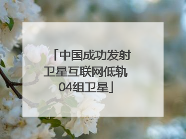 中国成功发射卫星互联网低轨04组卫星