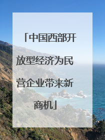 中国西部开放型经济为民营企业带来新商机