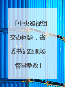 中央巡视组交办问题，省委书记赴现场督导整改