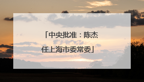 中央批准：陈杰任上海市委常委