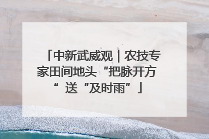 中新武威观｜农技专家田间地头“把脉开方”送“及时雨”