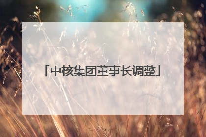 中核集团董事长调整