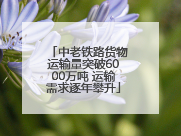 中老铁路货物运输量突破6000万吨 运输需求逐年攀升