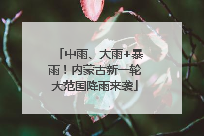 中雨、大雨+暴雨！内蒙古新一轮大范围降雨来袭