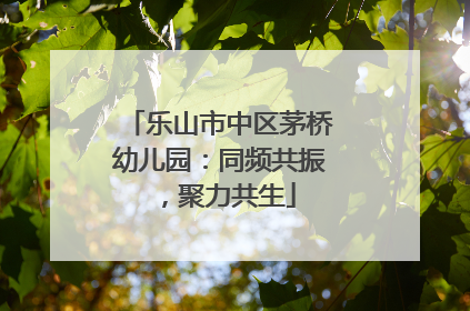 乐山市中区茅桥幼儿园：同频共振，聚力共生