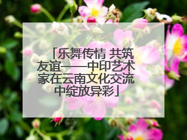 乐舞传情 共筑友谊——中印艺术家在云南文化交流中绽放异彩