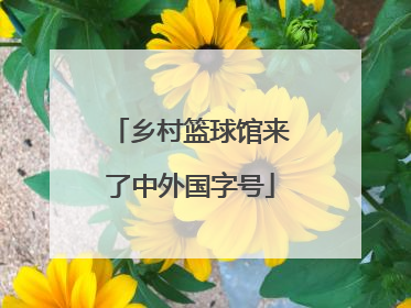乡村篮球馆来了中外国字号